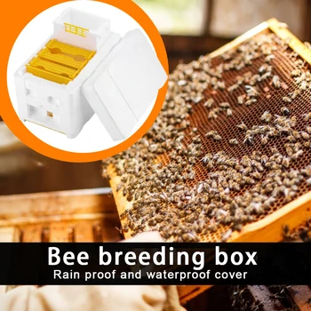 Держатель Рамки Пчелиного Улья Комплект Оборудования Многофункциональный Улей Beekeeping King Box Пенопластовые Коробки Для Опыления Инструмент Для Пчелиного Гнезда