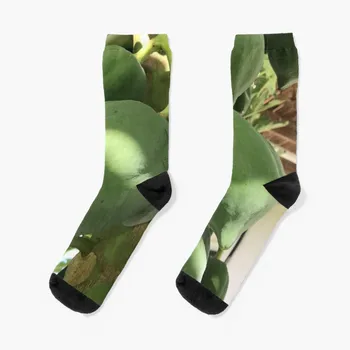 Носки Long Island Baha Green PapaYA Delight, движущиеся чулки, носки на Рождество, Мужские Женские Носки