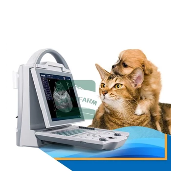 Основные домашние собаки и кошки для семьи и выявления других заболеваний животных Ветеринарный ультразвуковой сканер ультразвуковой детектор для собак