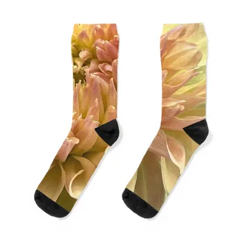 Розовые и желтые Носки с макро-цветком Георгина, дизайнерские носки с принтом, Оптовые Носки для женщин, мужские